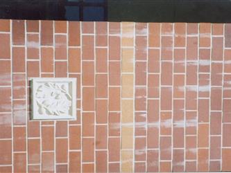 UMHS Brick Before